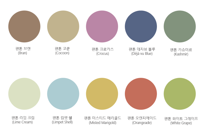 2025 팬톤 컬러